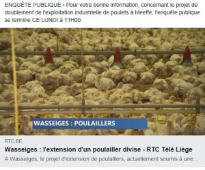 RTC-Poulailler-Meeffe-300×248